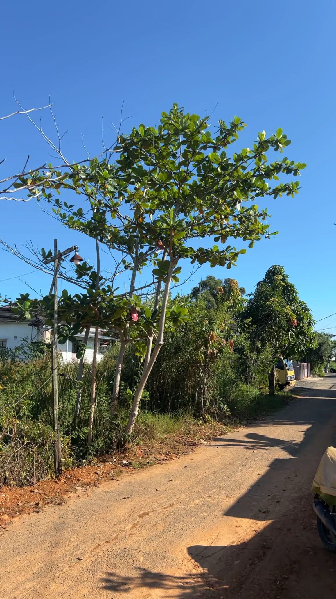 Tanah Dijual SHM 195 m² di Gatot Subroto, Banjarmasin 3