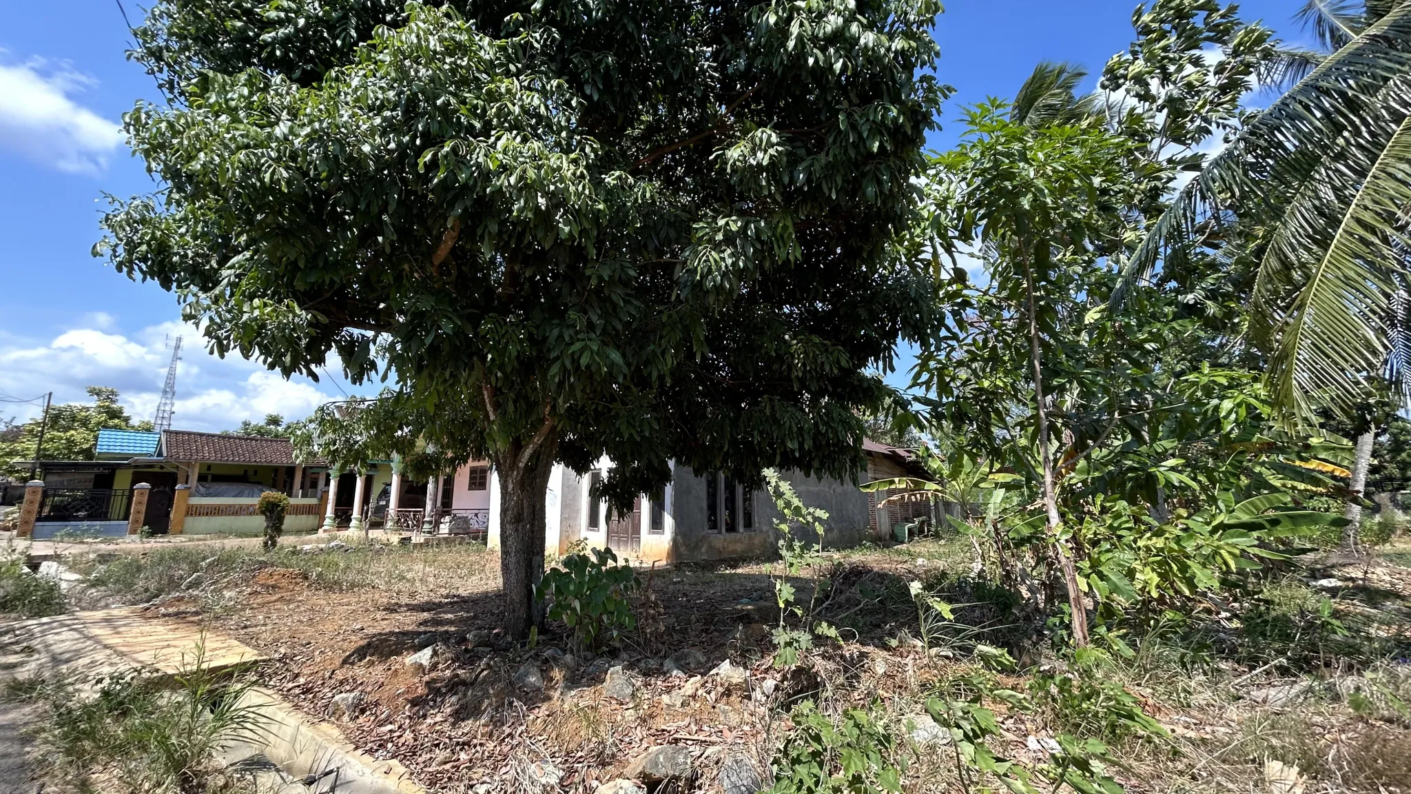 Rumah Dijual SHM Tanah 540 m² di Pelaihari, Tanah Laut 4