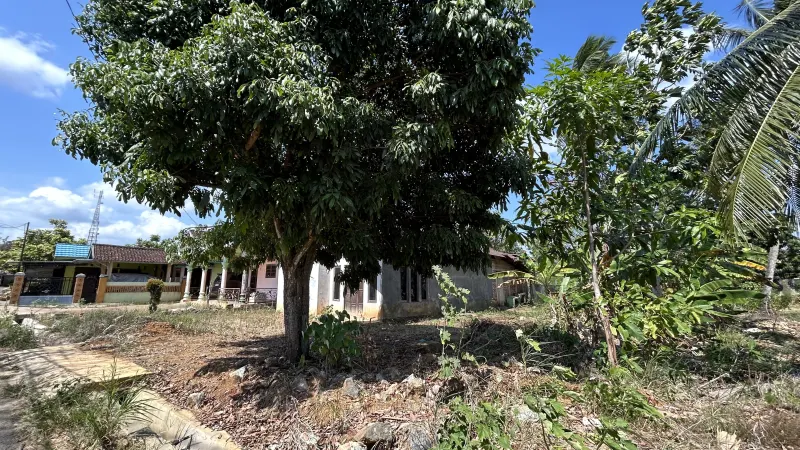 Rumah Dijual SHM Tanah 540 m² di Pelaihari, Tanah Laut 4
