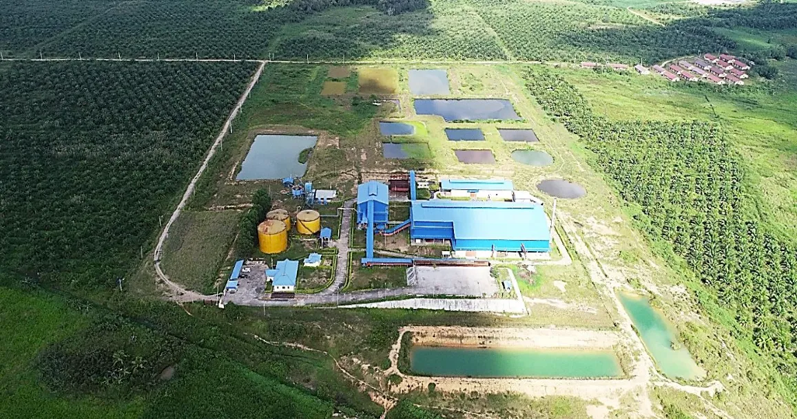 Kebun Sawit Luas ±79.000 Ha Dijual di Kutai Kartanegara, Kalimantan Timur