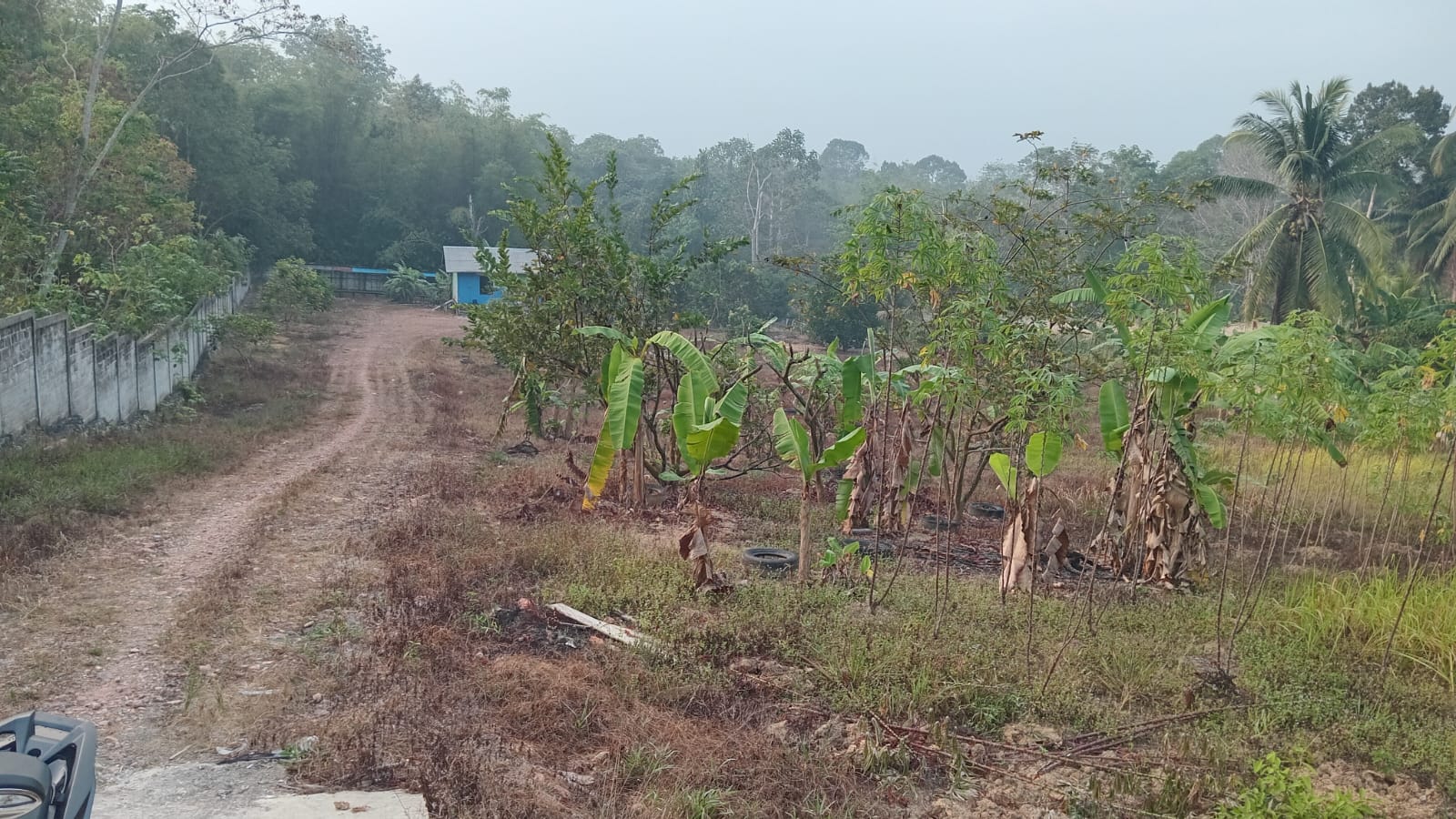 Tanah Luas 7 Ha Dijual di Balikpapan Utara, Kalimantan Timur