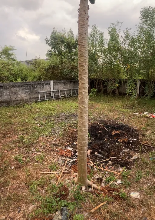 Rumah Dijual SHM 160 m² di Citra Mitra City, Banjarbaru 6
