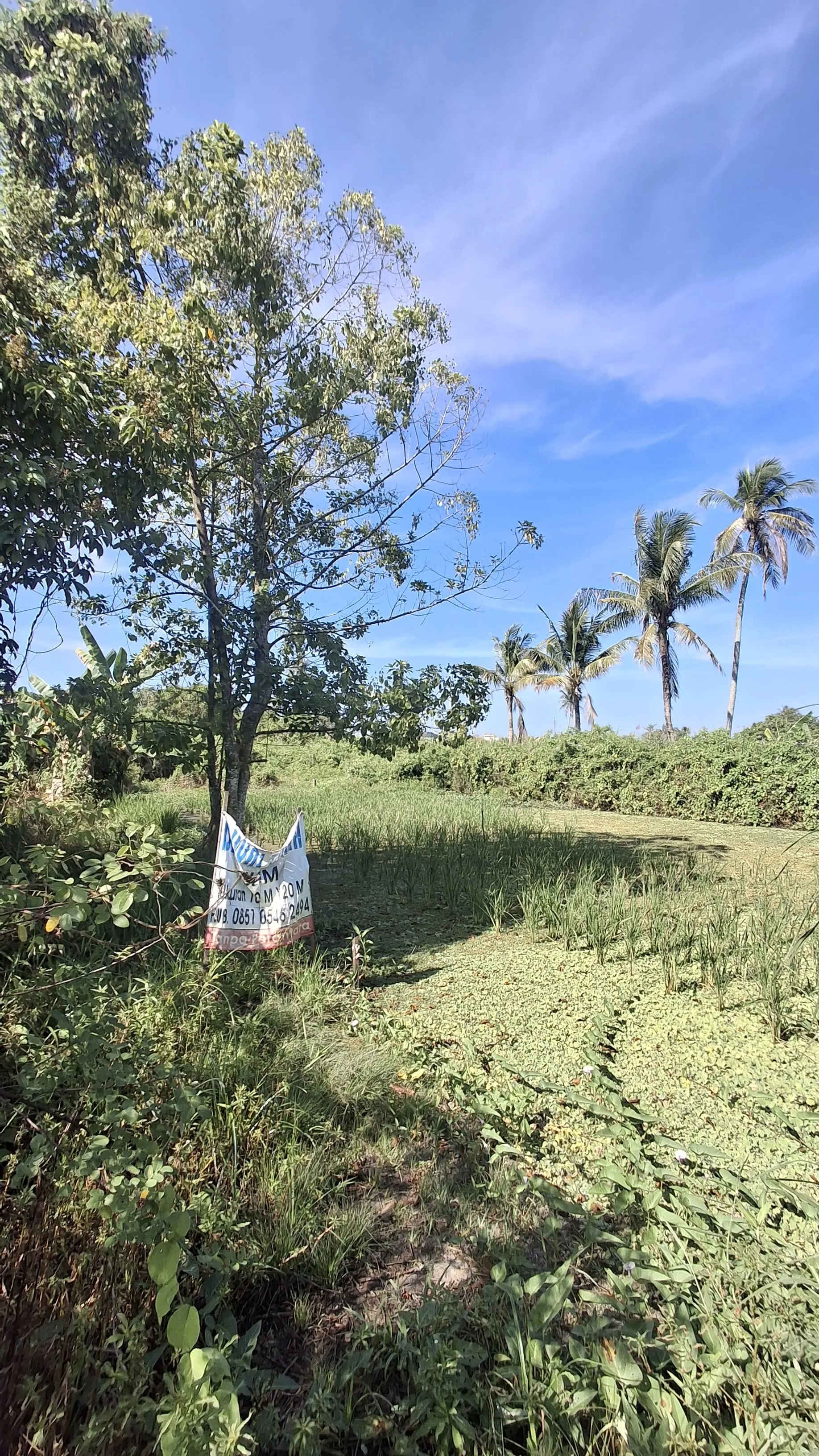 Tanah Dijual SHM 200 m² 450 m dari STIKES Borneo Nusantara