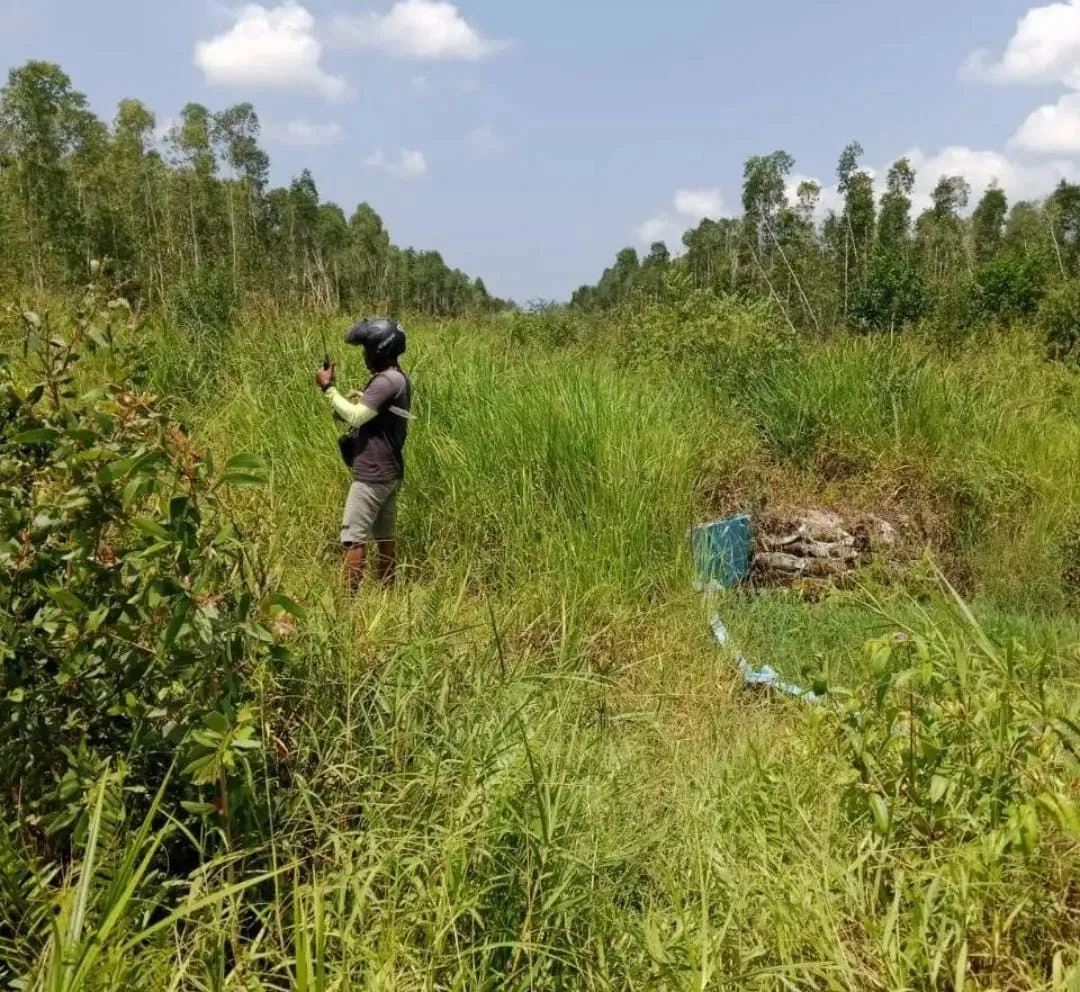 Tanah Mineral Luas 1.000 Ha Dijual di Katingan, Kalimantan Tengah 4