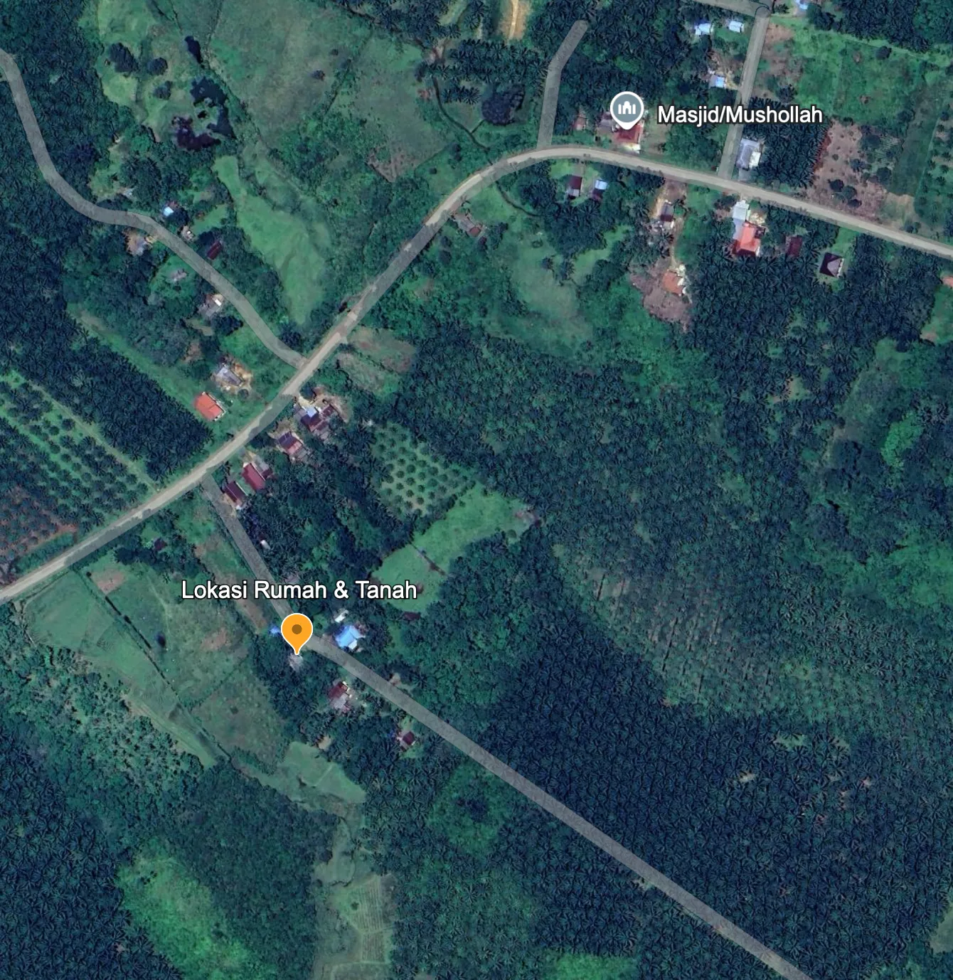 Tanah Beserta Kebun Sawit Dijual di Sungai Riam, Pelaihari 2
