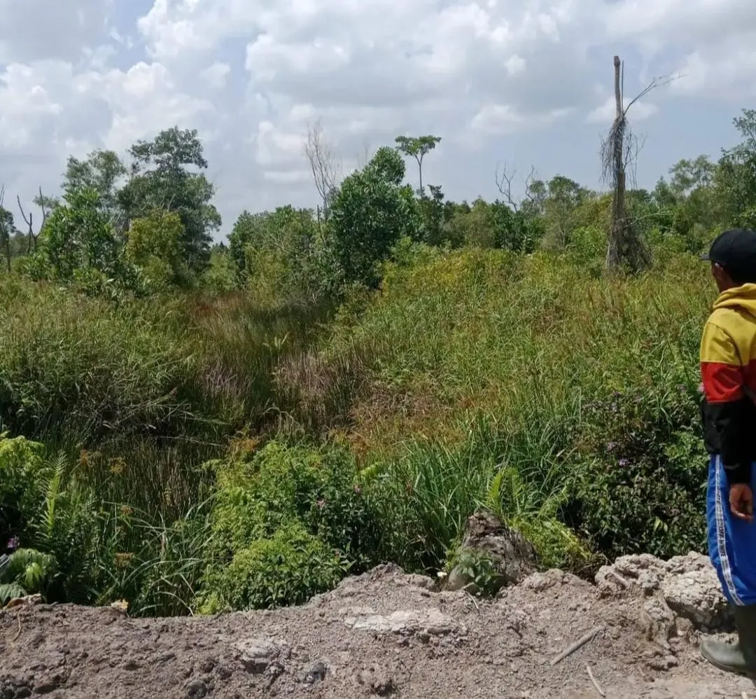 Tanah Mineral Luas 1.000 Ha Dijual di Katingan, Kalimantan Tengah 3