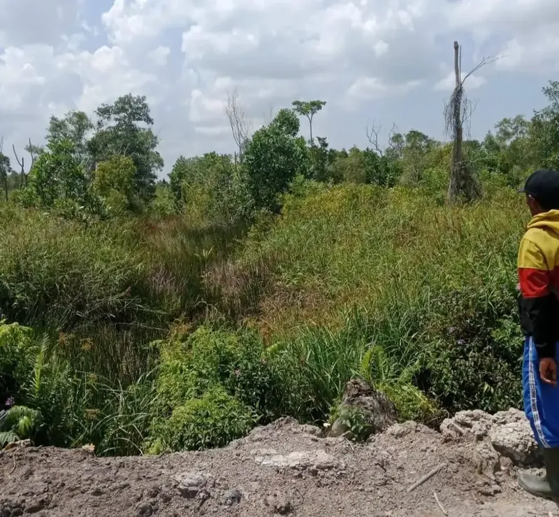 Tanah Mineral Luas 1.000 Ha Dijual di Katingan, Kalimantan Tengah 3