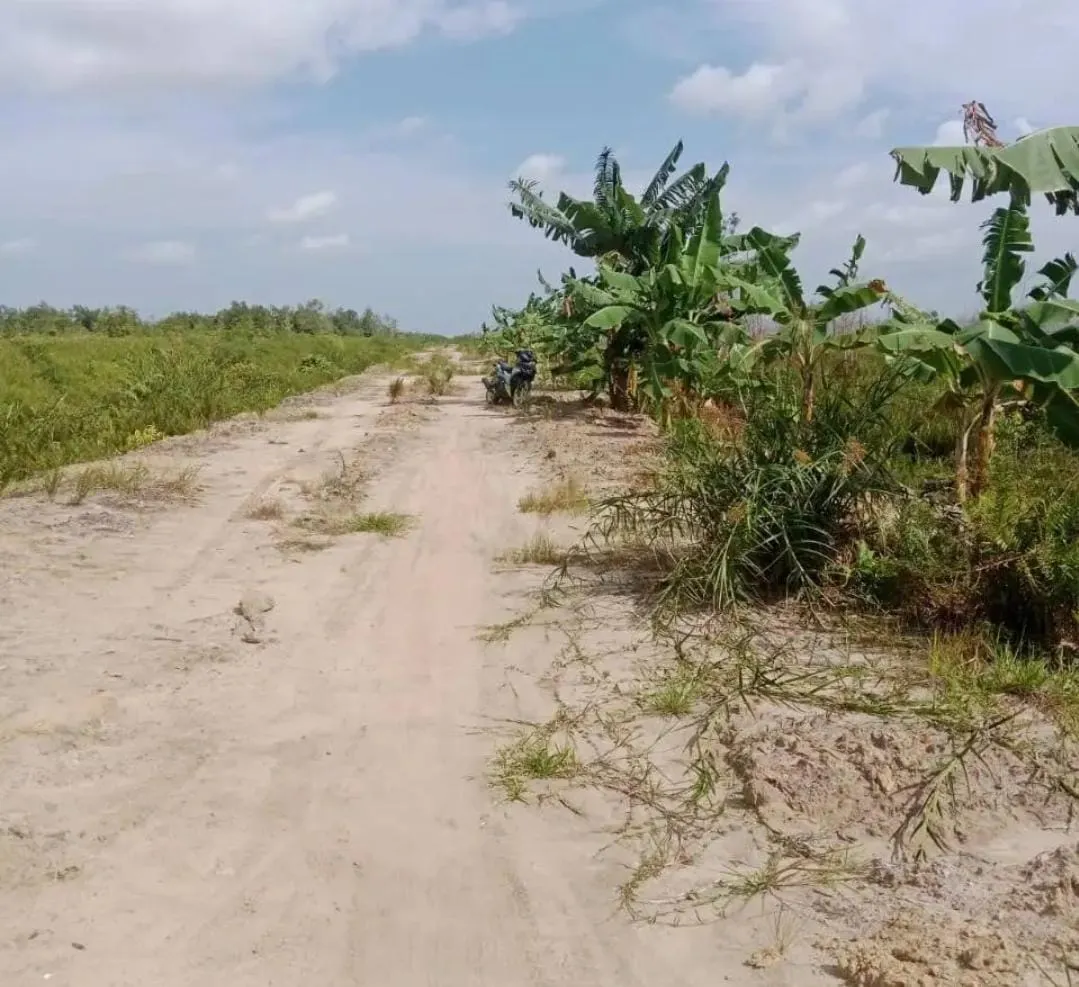 Tanah Mineral Luas 1.000 Ha Dijual di Katingan, Kalimantan Tengah 2