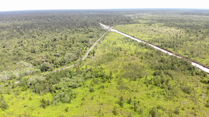 Tanah Gambut Luas 11,75 Hektare Dijual di Buntok, Kalimantan Tengah 2