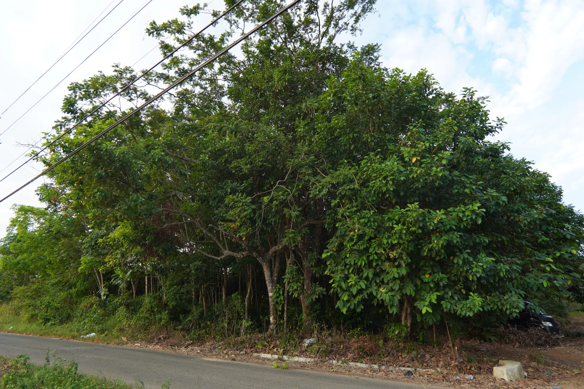 Tanah 2.500 m² Pinggir Jalan di Beramban Pelaihari, Depan Komplek Darmarta Land 3