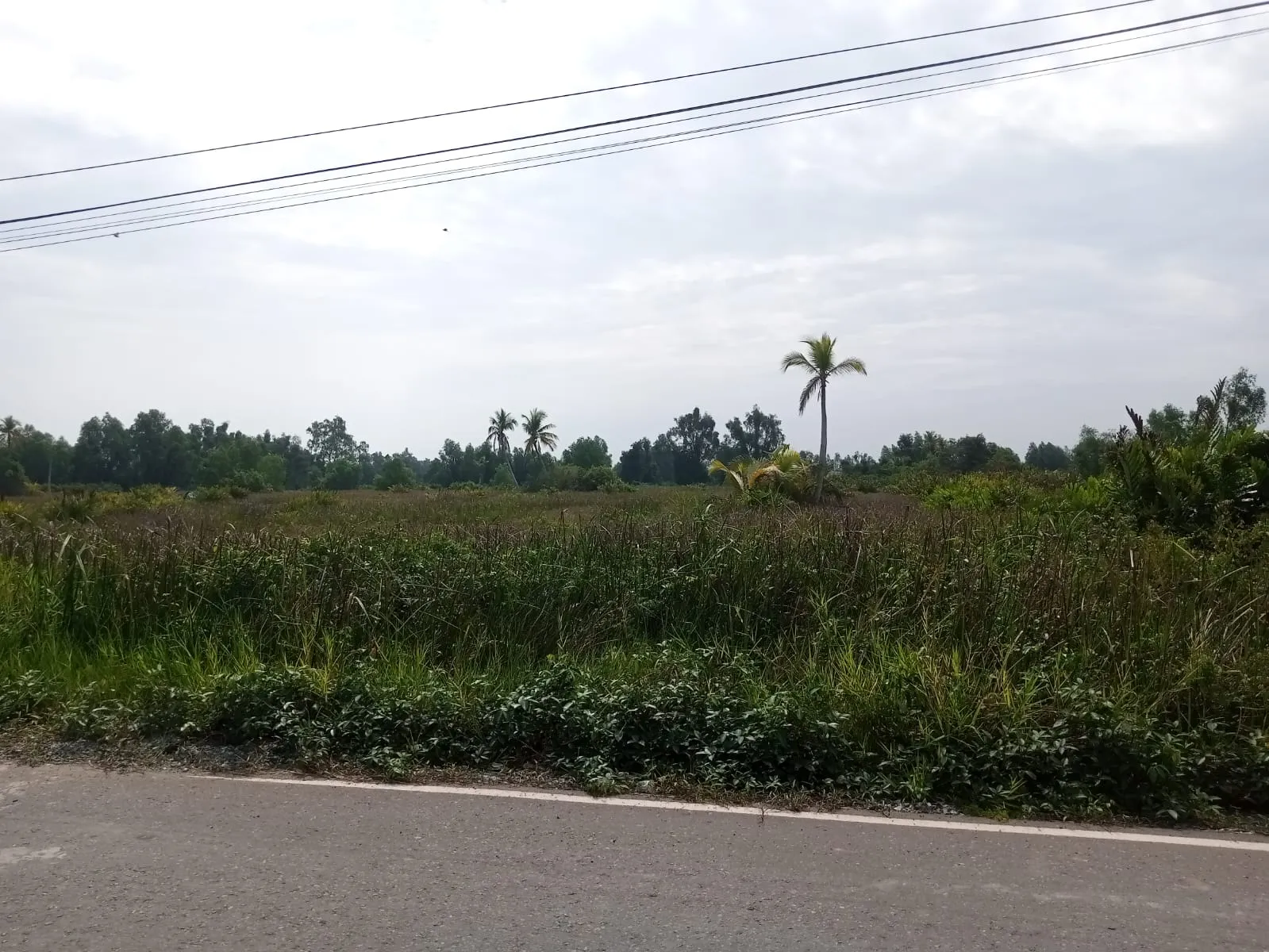 Tanah Luas 9.103 m² Dijual Dekat Jl. Gubernur Soebardjo