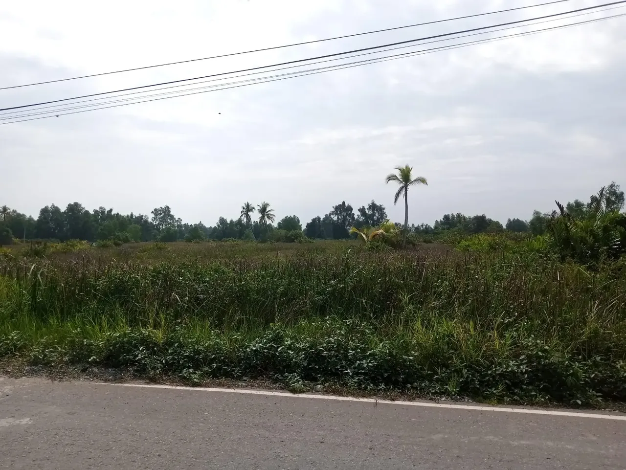 Tanah Luas 9.103 m² Dijual Dekat Jl. Gubernur Soebardjo