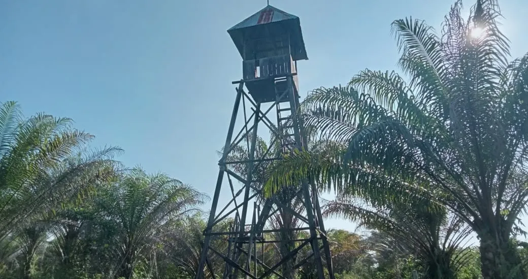 Kebun Sawit Luas ±6.800 Ha Dijual di Landak, Kalimantan Barat 8